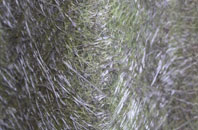 Edney Common fibreglass roof work