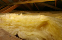 Edney Common pitch roof insulation
