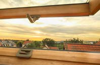 rated Edney Common roof window companies